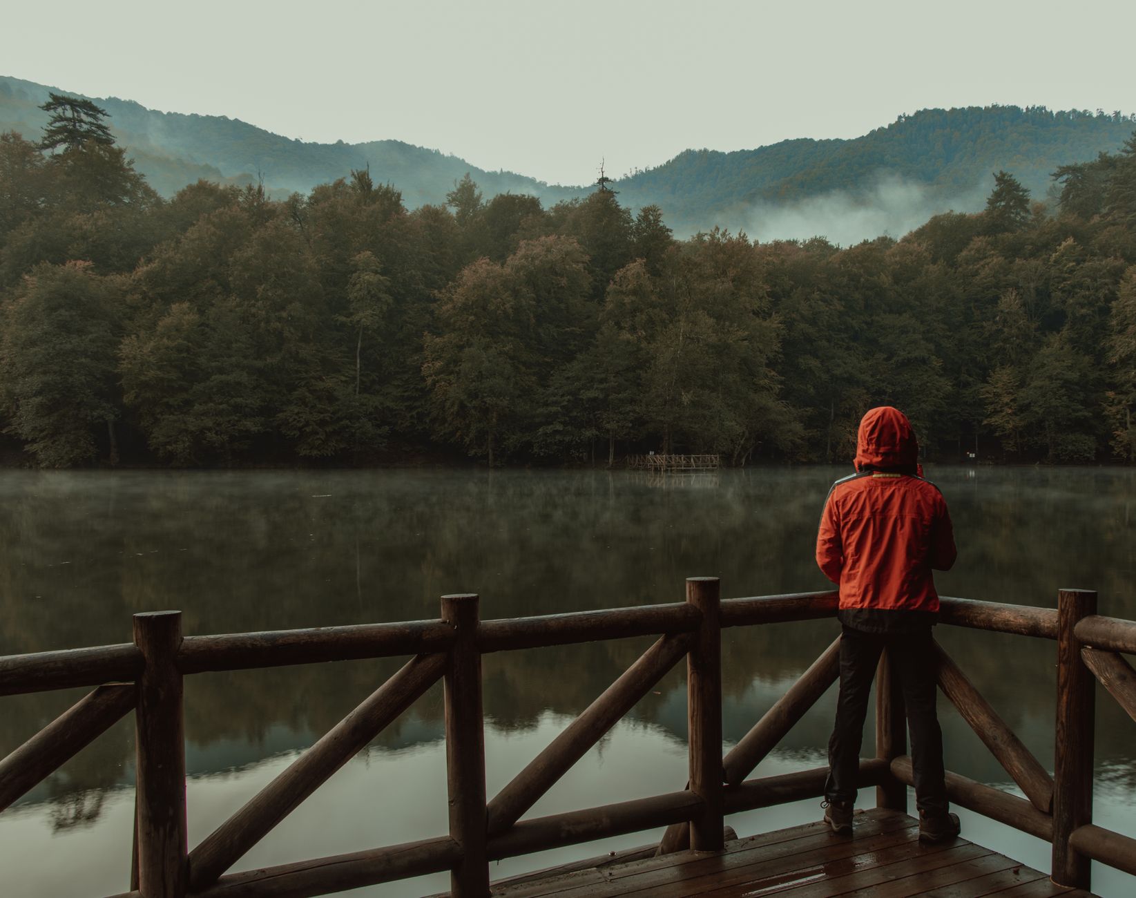 세네카 명언 - 오지 않은 내일을 미리 아파하지 마세요 관련 이미지